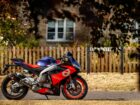 Your guide to temporary motorbike insurance